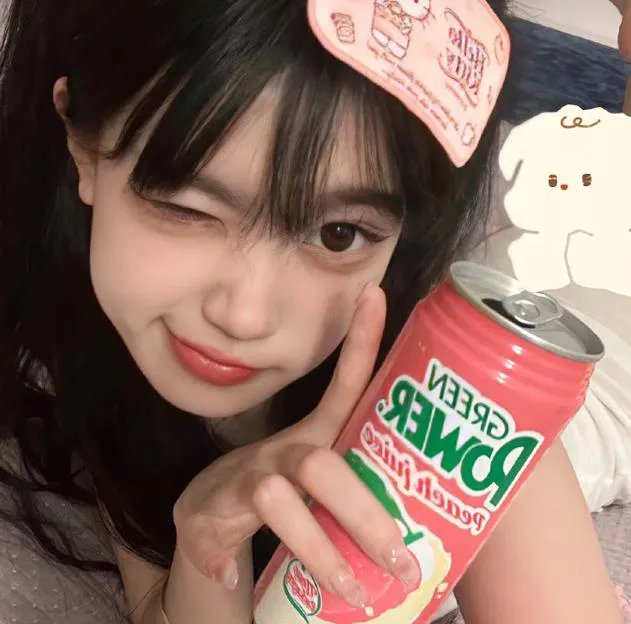 哈利波特:凤凰会的密令