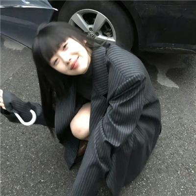 月季花开